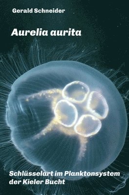 bokomslag Aurelia aurita