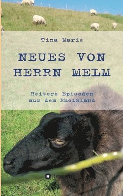 bokomslag Neues von Herrn Melm