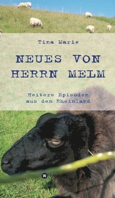 bokomslag Neues von Herrn Melm: Heitere Episoden aus dem Rheinland