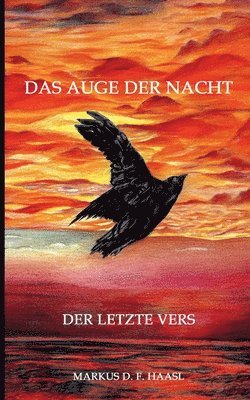 bokomslag Das Auge der Nacht