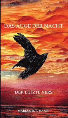 bokomslag Das Auge der Nacht