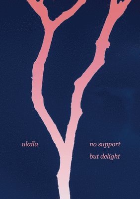 no support but delight 1