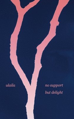 no support but delight 1