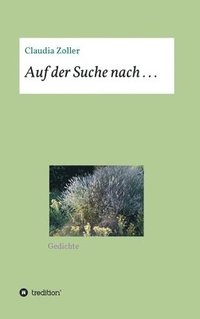 bokomslag Auf der Suche nach . . .