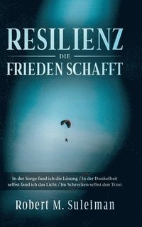 bokomslag Resilienz die Frieden schafft