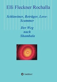 bokomslag Schlawiner, Betrüger, Love-Scammer