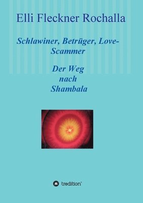 bokomslag Schlawiner, Betrüger, Love-Scammer