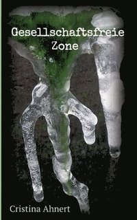 bokomslag Gesellschaftsfreie Zone