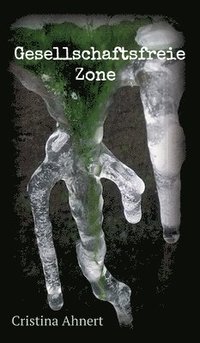 bokomslag Gesellschaftsfreie Zone