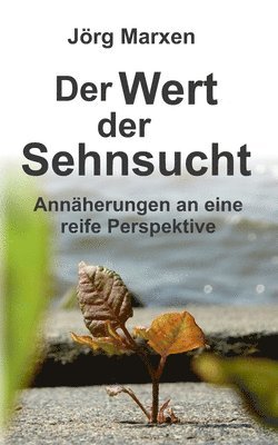 bokomslag Der Wert der Sehnsucht: Annäherungen an eine reife Perspektive