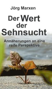 bokomslag Der Wert der Sehnsucht: Annäherungen an eine reife Perspektive