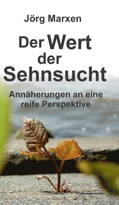 Der Wert der Sehnsucht: Annäherungen an eine reife Perspektive 1