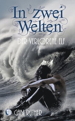 bokomslag In zwei Welten - Der verlorene Elf