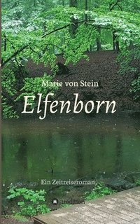 bokomslag Elfenborn: Ein Zeitreiseroman