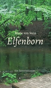 bokomslag Elfenborn: Ein Zeitreiseroman