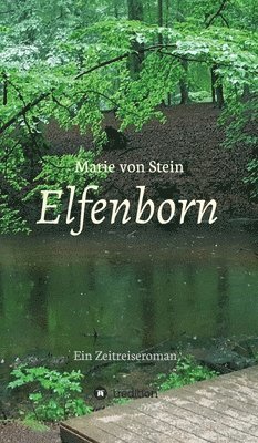 Elfenborn: Ein Zeitreiseroman 1