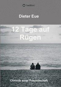 bokomslag 12 Tage auf Rügen: Liebe, Freundschaft, Lebenssinn - die Suche hört niemals auf.