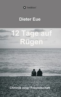 bokomslag 12 Tage auf Rügen