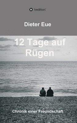 bokomslag 12 Tage auf Rügen: Liebe, Freundschaft, Lebenssinn - die Suche hört niemals auf.