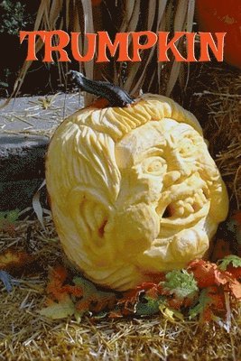 bokomslag Trumpkin