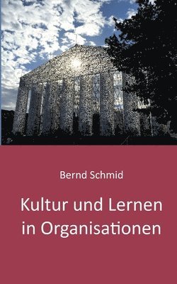 Kultur und Lernen in Organisationen: Ein Lesebuch von Bernd Schmid 2020 1