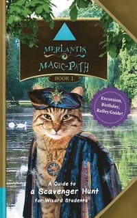 bokomslag Merlantis Magic Path: A Guide to a Scavenger Hunt for Wizard Students