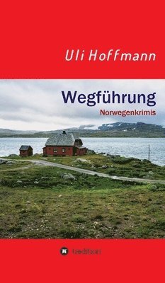 bokomslag Wegführung: Norwegenkrimis