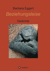bokomslag Beziehungsleise