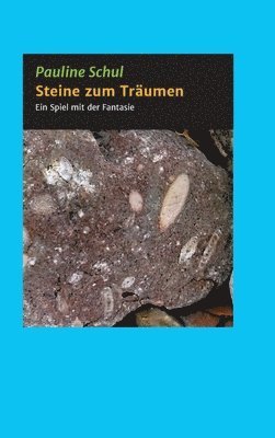 bokomslag Steine zum Träumen