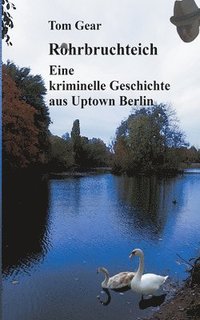 bokomslag Rohrbruchteich: Eine kriminelle Geschichte aus Uptown Berlin