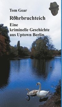 bokomslag Rohrbruchteich: Eine kriminelle Geschichte aus Uptown Berlin