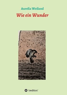 bokomslag Wie ein Wunder