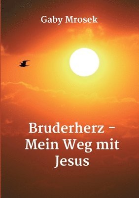 bokomslag Bruderherz - Mein Weg mit Jesus
