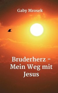 bokomslag Bruderherz - Mein Weg mit Jesus