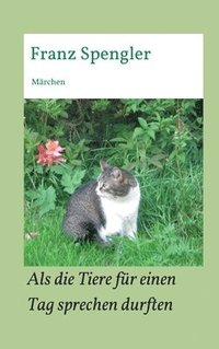 bokomslag Als die Tiere für einen Tag sprechen durften: Märchen