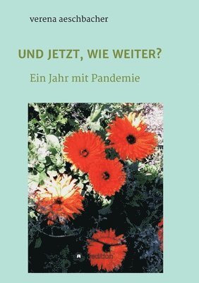 Verena Aeschbacher - Und Jetzt, Wie Weiter?: Ein Jahr mit Pandemie, Häftad