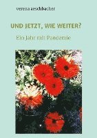 bokomslag Und Jetzt, Wie Weiter?: Ein Jahr mit Pandemie