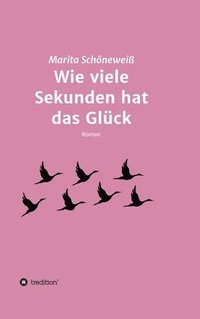 bokomslag Wie viele Sekunden hat das Glück