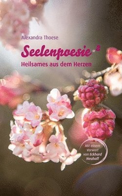 bokomslag Seelenpoesie - Heilsames aus dem Herzen