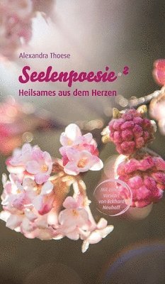 Seelenpoesie - Heilsames aus dem Herzen 1