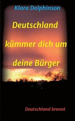 bokomslag Deutschland Kümmer dich um deine Bürger: Deutschland brennt