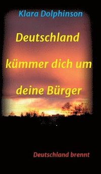 bokomslag Deutschland Kümmer dich um deine Bürger: Deutschland brennt