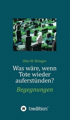 bokomslag Was wäre, wenn Tote wieder auferstünden: Begegnungen