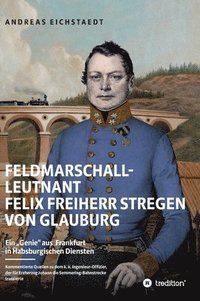 bokomslag Feldmarschall-Leutnant Felix Freiherr Stregen von Glauburg: Ein 'Genie' aus Frankfurt in Habsburgischen Diensten
