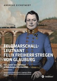 bokomslag Feldmarschall-Leutnant Felix Freiherr Stregen von Glauburg: Ein "Genie aus Frankfurt in Habsburgischen Diensten