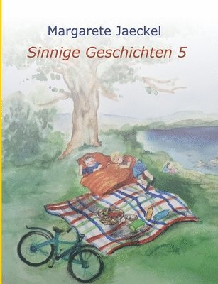 bokomslag Sinnige Geschichten 5