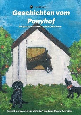 bokomslag Geschichten vom Ponyhof