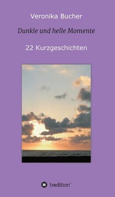 bokomslag Dunkle und helle Momente: 22 Kurzgeschichten