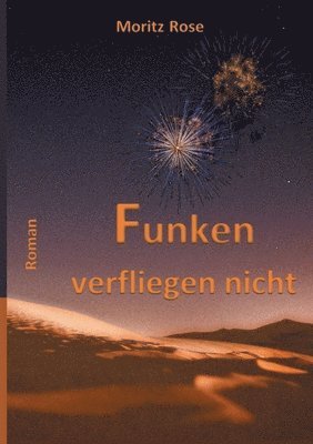 bokomslag Funken verfliegen nicht: Vom Glück, das sein könnte