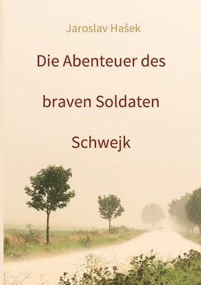 bokomslag Die Abenteuer des braven Soldaten Schwejk